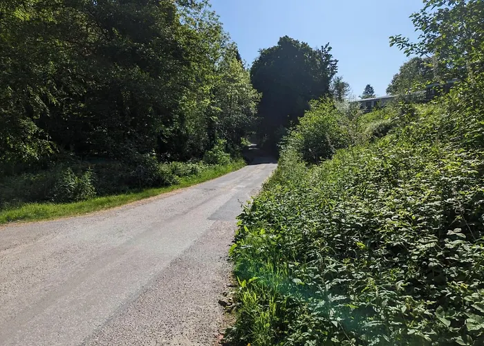 The Ardennes 66