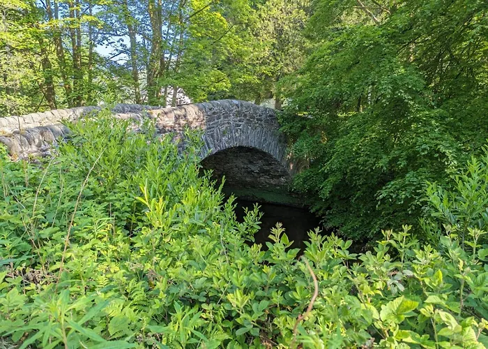The Ardennes 66